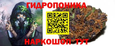 тгк Апшеронск