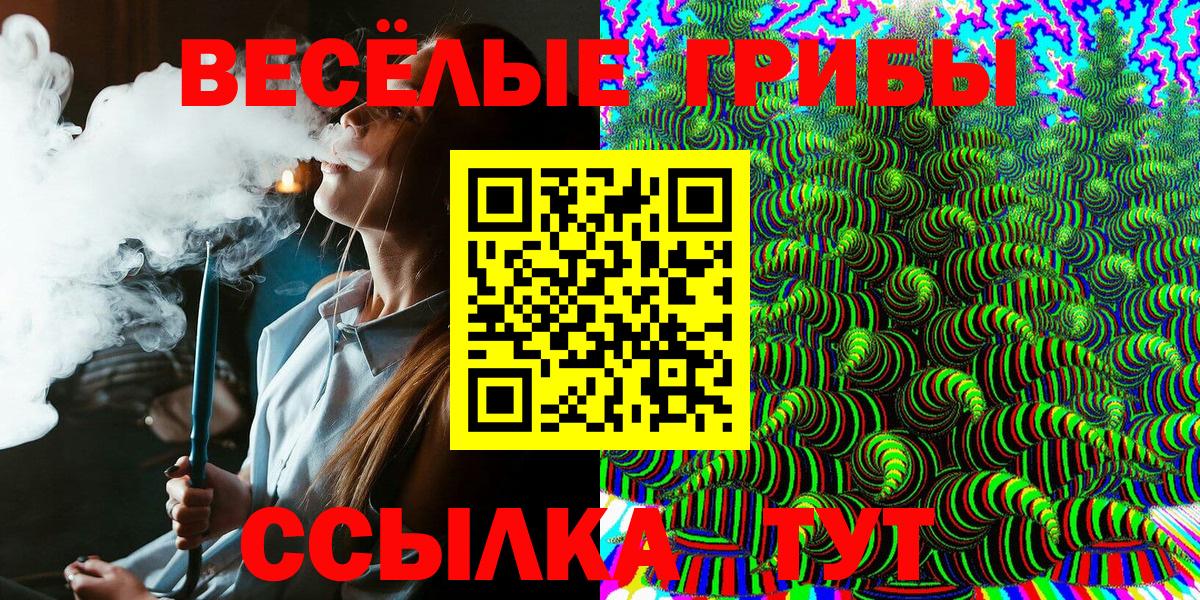 Галлюциногенные грибы Psilocybine cubensis Бахчисарай